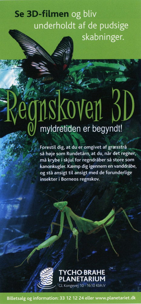 2006_regnskoven_01