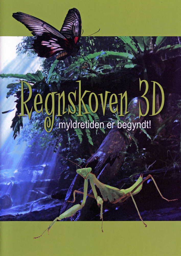 2006_regnskoven_02