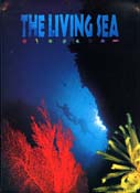 1996_living_sea_03